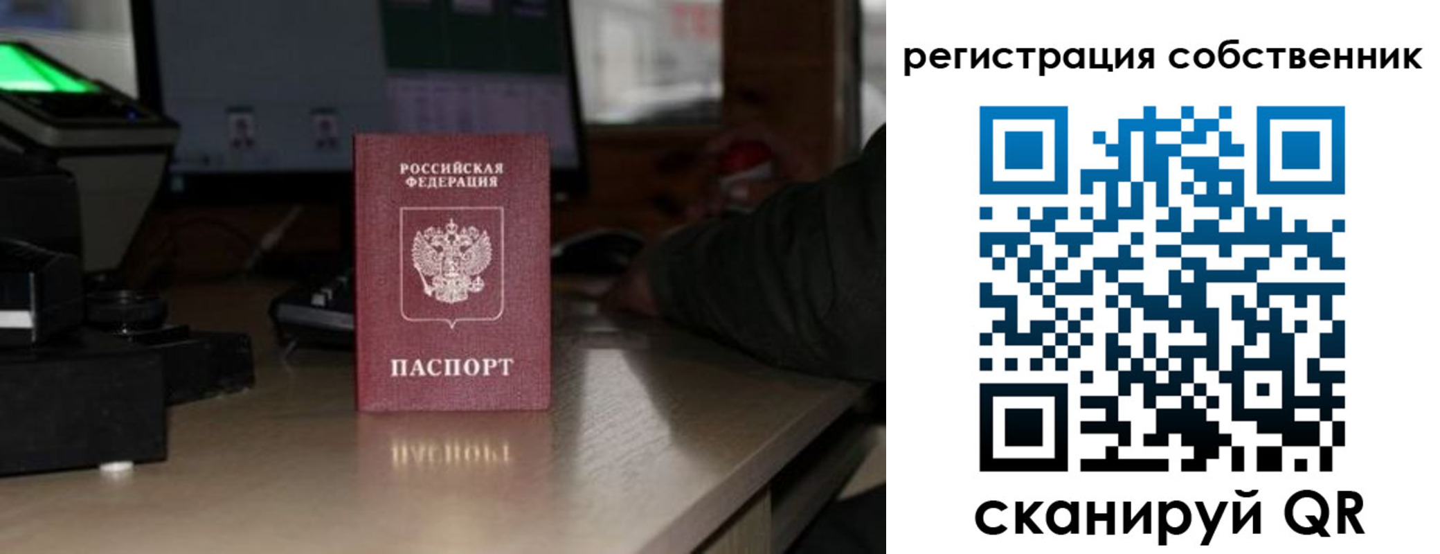 прописка поиск в Новосибирской области